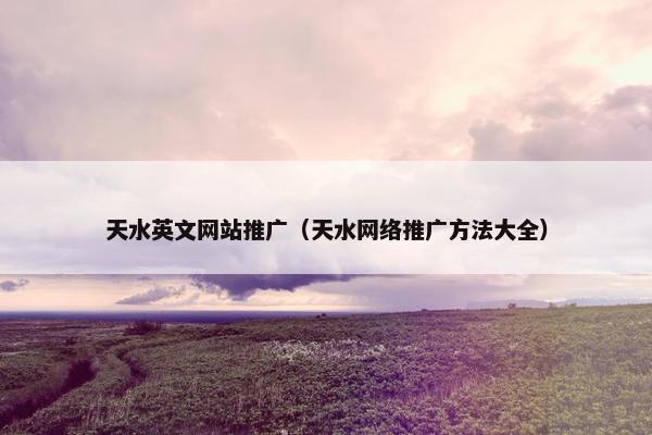 天水英文网站推广（天水网络推广方法大全）