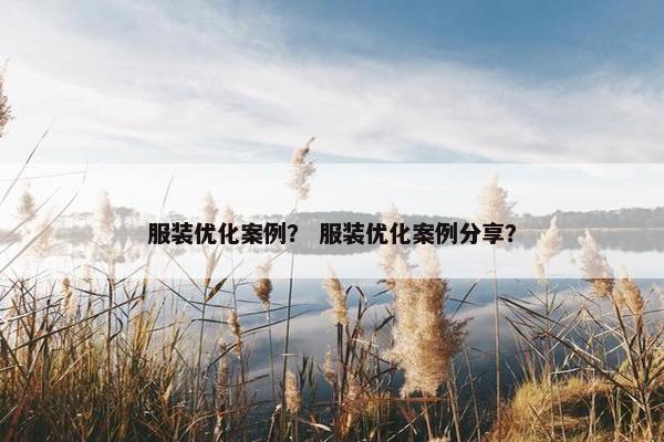 服装优化案例？ 服装优化案例分享？