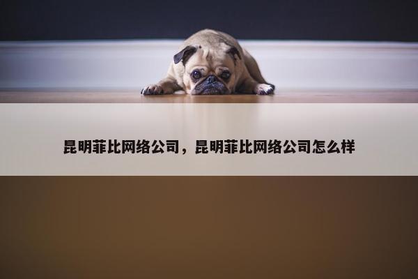 昆明菲比网络公司，昆明菲比网络公司怎么样