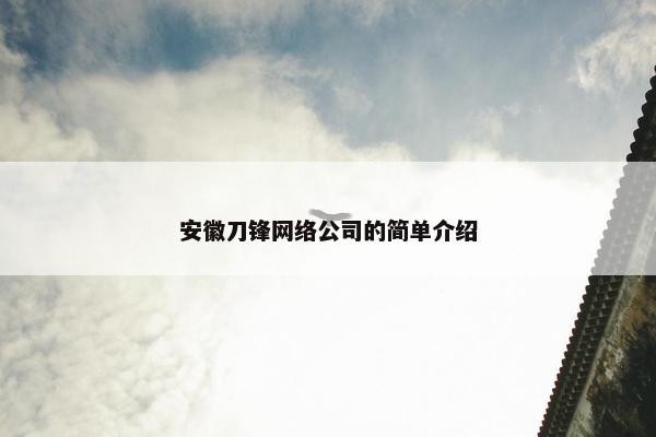 安徽刀锋网络公司的简单介绍
