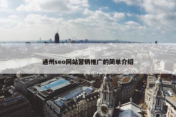 通州seo网站营销推广的简单介绍