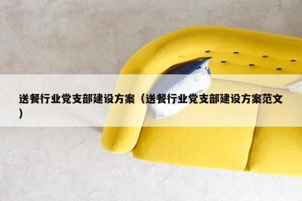 送餐行业党支部建设方案（送餐行业党支部建设方案范文）