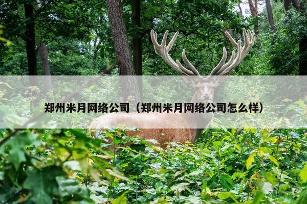 郑州米月网络公司（郑州米月网络公司怎么样）