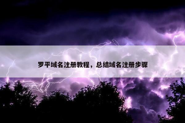 罗平域名注册教程，总结域名注册步骤