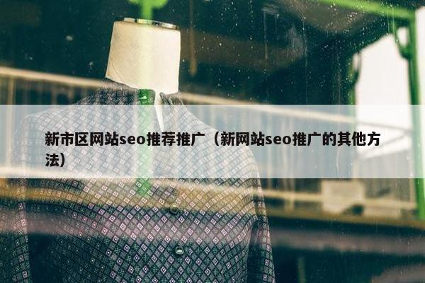 新市区网站seo推荐推广（新网站seo推广的其他方法）
