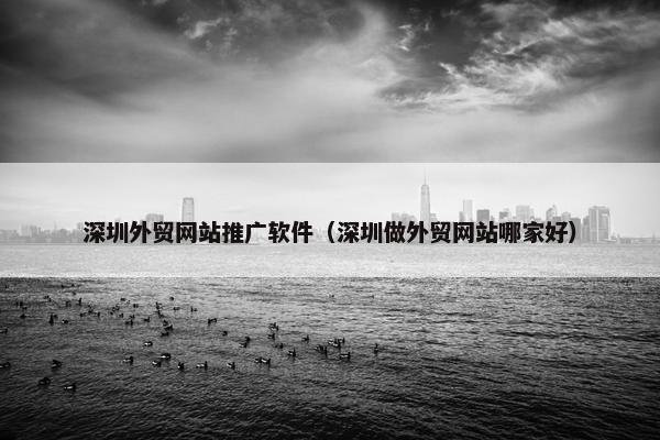 深圳外贸网站推广软件（深圳做外贸网站哪家好）