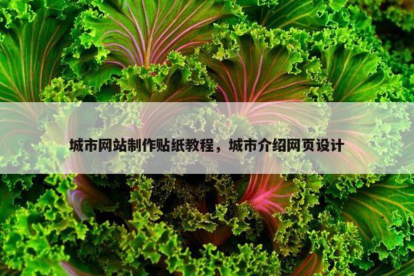 城市网站制作贴纸教程，城市介绍网页设计