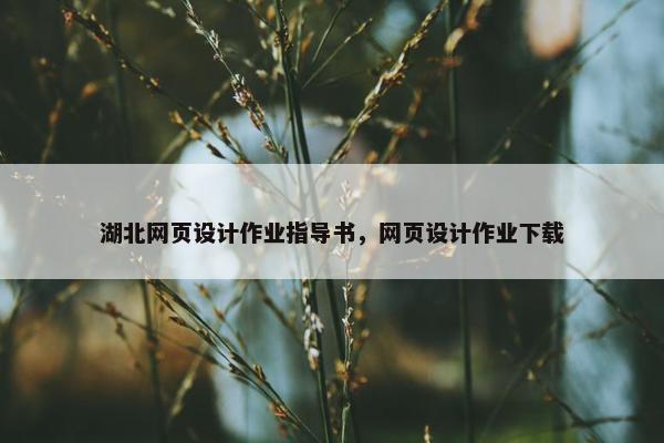 湖北网页设计作业指导书，网页设计作业下载