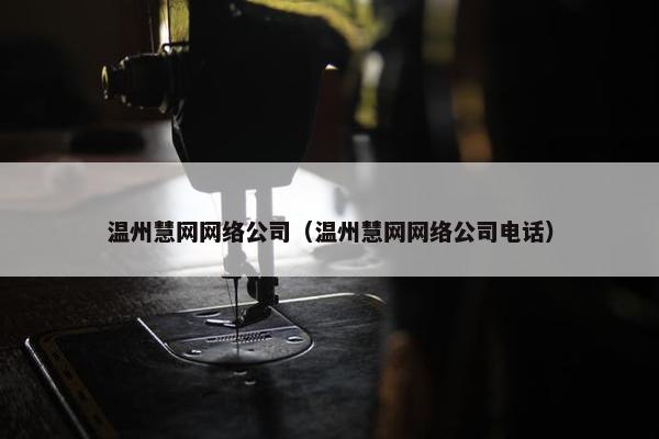 温州慧网网络公司（温州慧网网络公司电话）