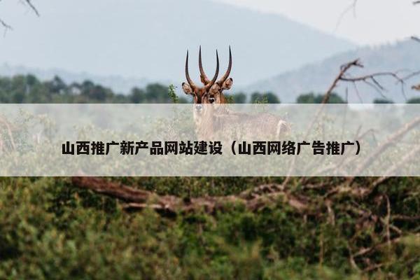 山西推广新产品网站建设（山西网络广告推广）