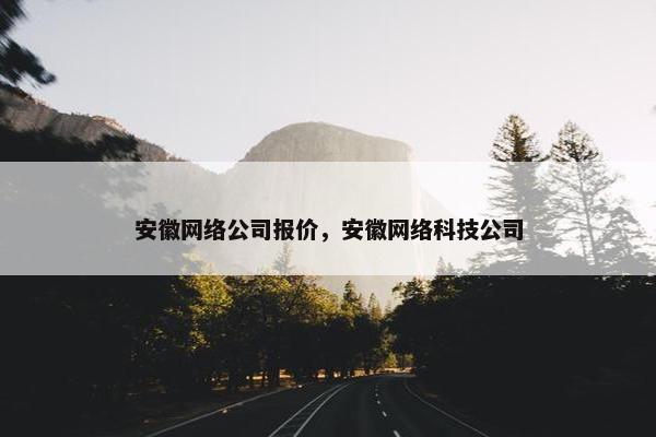 安徽网络公司报价，安徽网络科技公司