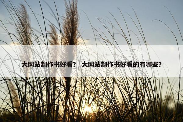 大网站制作书好看？ 大网站制作书好看的有哪些？
