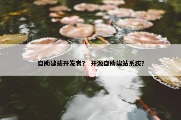 自助建站开发者？ 开源自助建站系统？