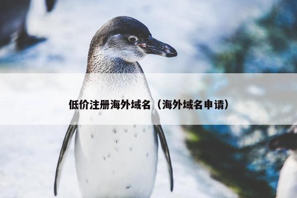 低价注册海外域名（海外域名申请）