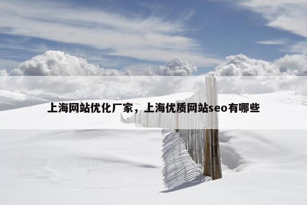 上海网站优化厂家，上海优质网站seo有哪些