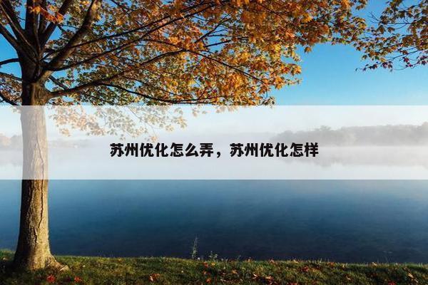 苏州优化怎么弄，苏州优化怎样