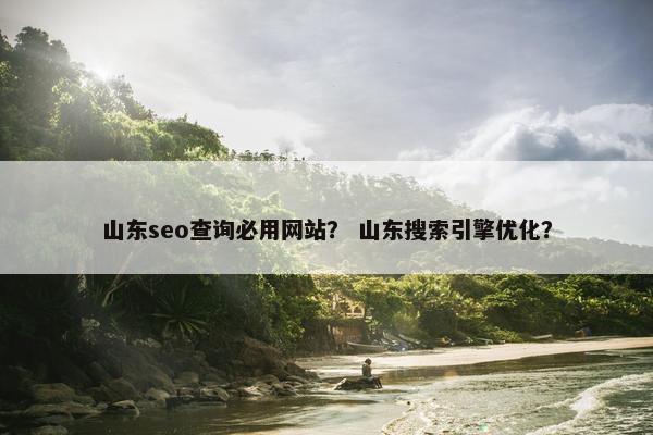 山东seo查询必用网站？ 山东搜索引擎优化？