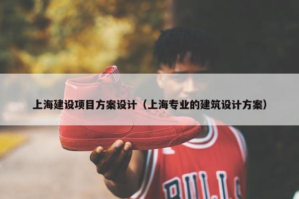 上海建设项目方案设计（上海专业的建筑设计方案）
