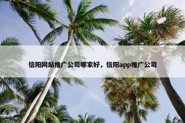 信阳网站推广公司哪家好，信阳app推广公司