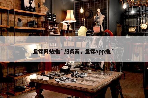 盘锦网站推广服务商，盘锦app推广