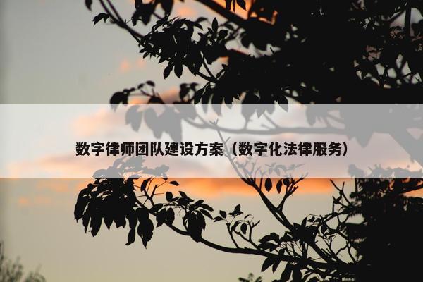 数字律师团队建设方案（数字化法律服务）