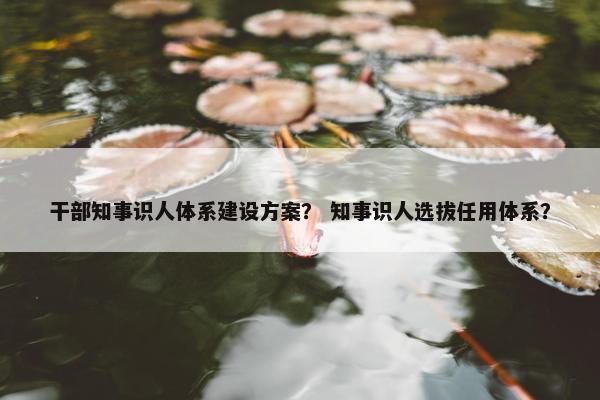 干部知事识人体系建设方案？ 知事识人选拔任用体系？