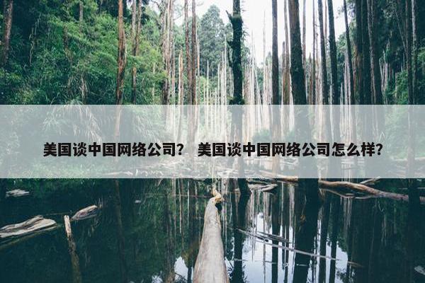 美国谈中国网络公司？ 美国谈中国网络公司怎么样？
