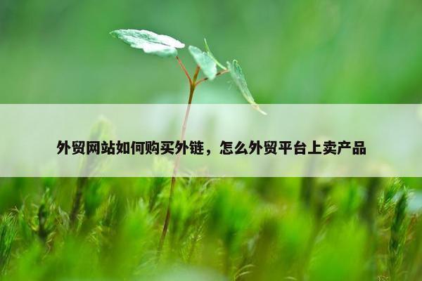 外贸网站如何购买外链，怎么外贸平台上卖产品