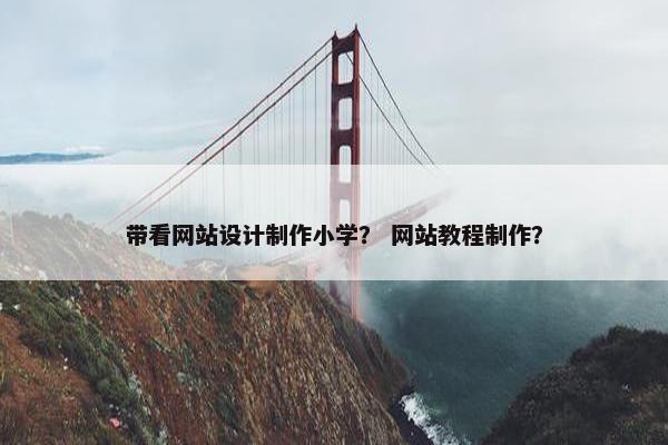 带看网站设计制作小学？ 网站教程制作？
