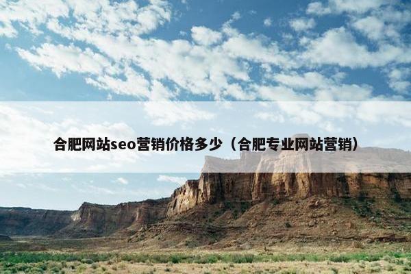 合肥网站seo营销价格多少（合肥专业网站营销）