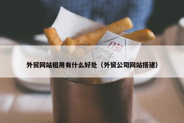 外贸网站租用有什么好处（外贸公司网站搭建）