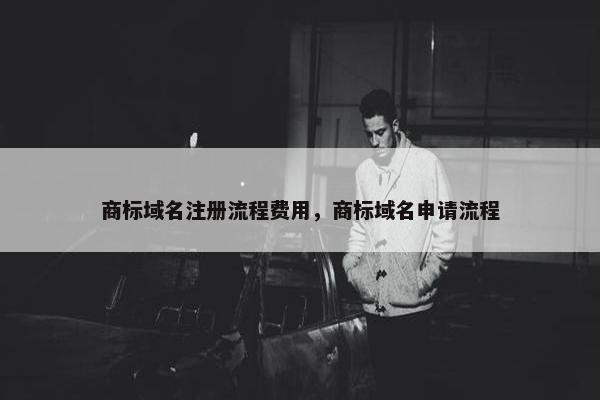 商标域名注册流程费用，商标域名申请流程