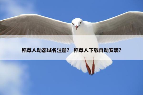 稻草人动态域名注册？ 稻草人下载自动安装？