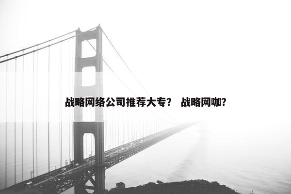 战略网络公司推荐大专？ 战略网咖？