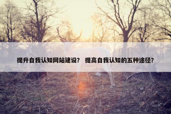 提升自我认知网站建设？ 提高自我认知的五种途径？