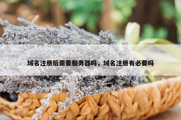 域名注册后需要服务器吗，域名注册有必要吗