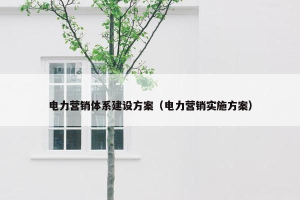 电力营销体系建设方案（电力营销实施方案）