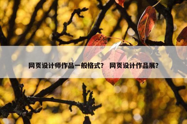 网页设计师作品一般格式？ 网页设计作品展？