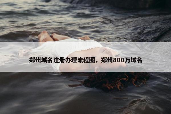郑州域名注册办理流程图，郑州800万域名