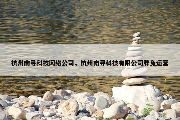 杭州南寻科技网络公司，杭州南寻科技有限公司胖兔运营