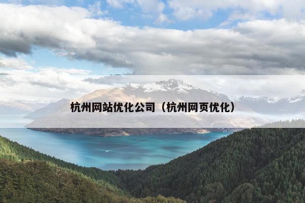 杭州网站优化公司（杭州网页优化）