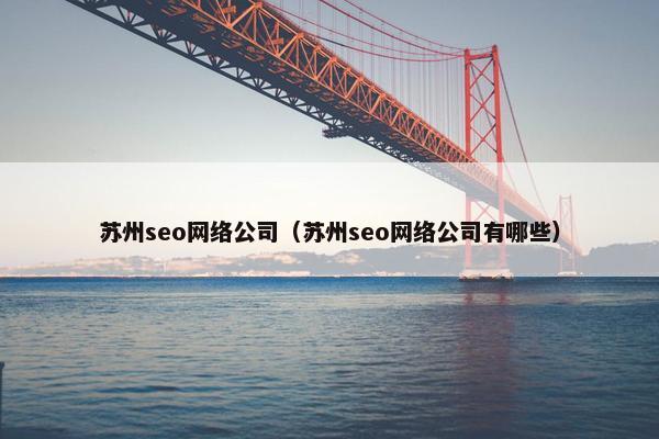 苏州seo网络公司（苏州seo网络公司有哪些）
