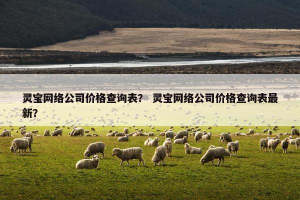 灵宝网络公司价格查询表？ 灵宝网络公司价格查询表最新？