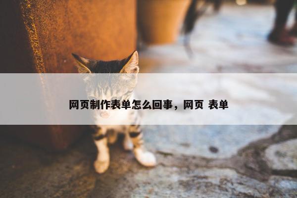 网页制作表单怎么回事，网页 表单