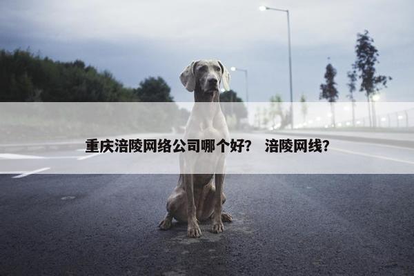 重庆涪陵网络公司哪个好？ 涪陵网线？