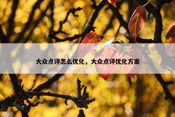 大众点评怎么优化，大众点评优化方案