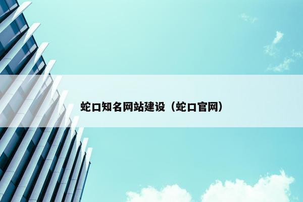 蛇口知名网站建设（蛇口官网）
