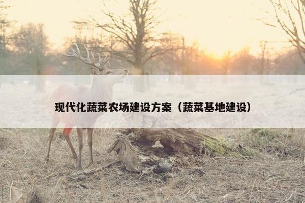 现代化蔬菜农场建设方案（蔬菜基地建设）