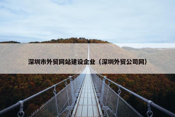 深圳市外贸网站建设企业（深圳外贸公司网）
