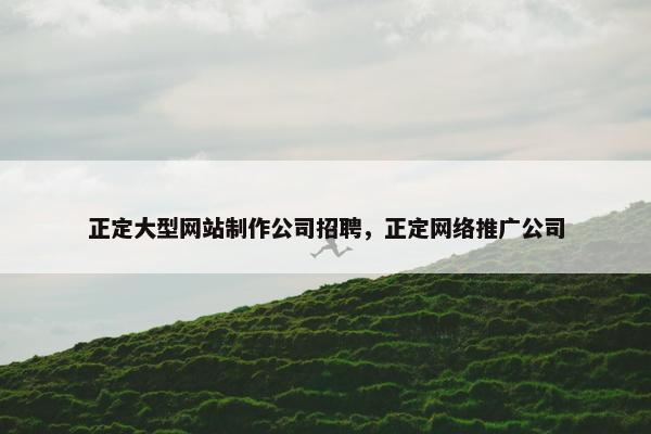 正定大型网站制作公司招聘，正定网络推广公司